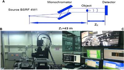 Phase-contrast imaging with synchrotron hard X-ray reveals the effect of icariin on bone tissue morphology and microstructure in rabbits with early glucocorticoid-induced osteonecrosis of the femoral head